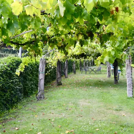 Casa - 2 Bedroom Apartment Cortona