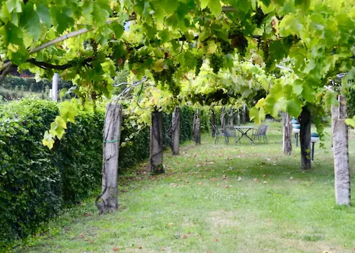 Casa - 2 Bedroom Apartment Cortona